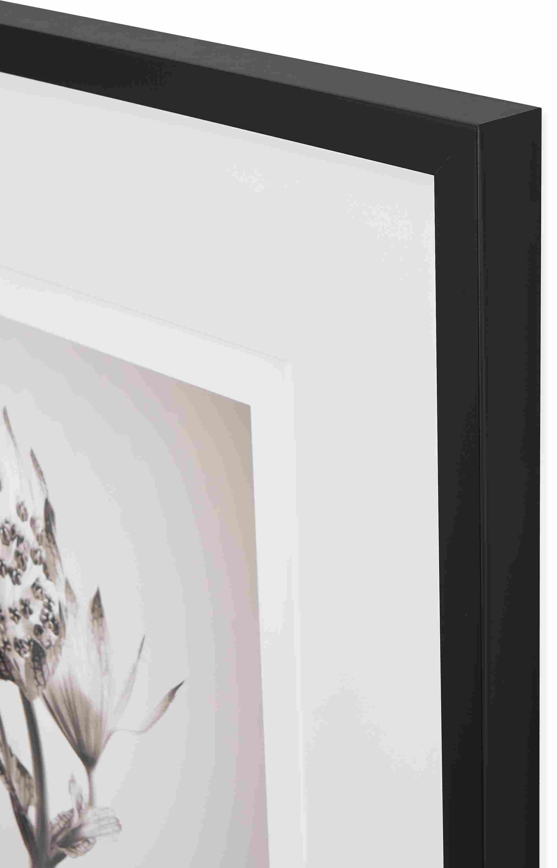 Corner frame detail of Paul Nelson artwork Astantia I botanical 2024.