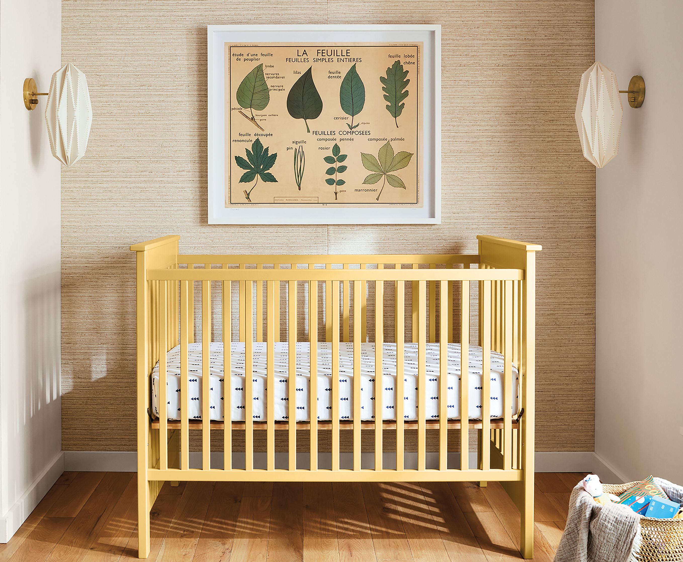 Vintage French Botany Chart