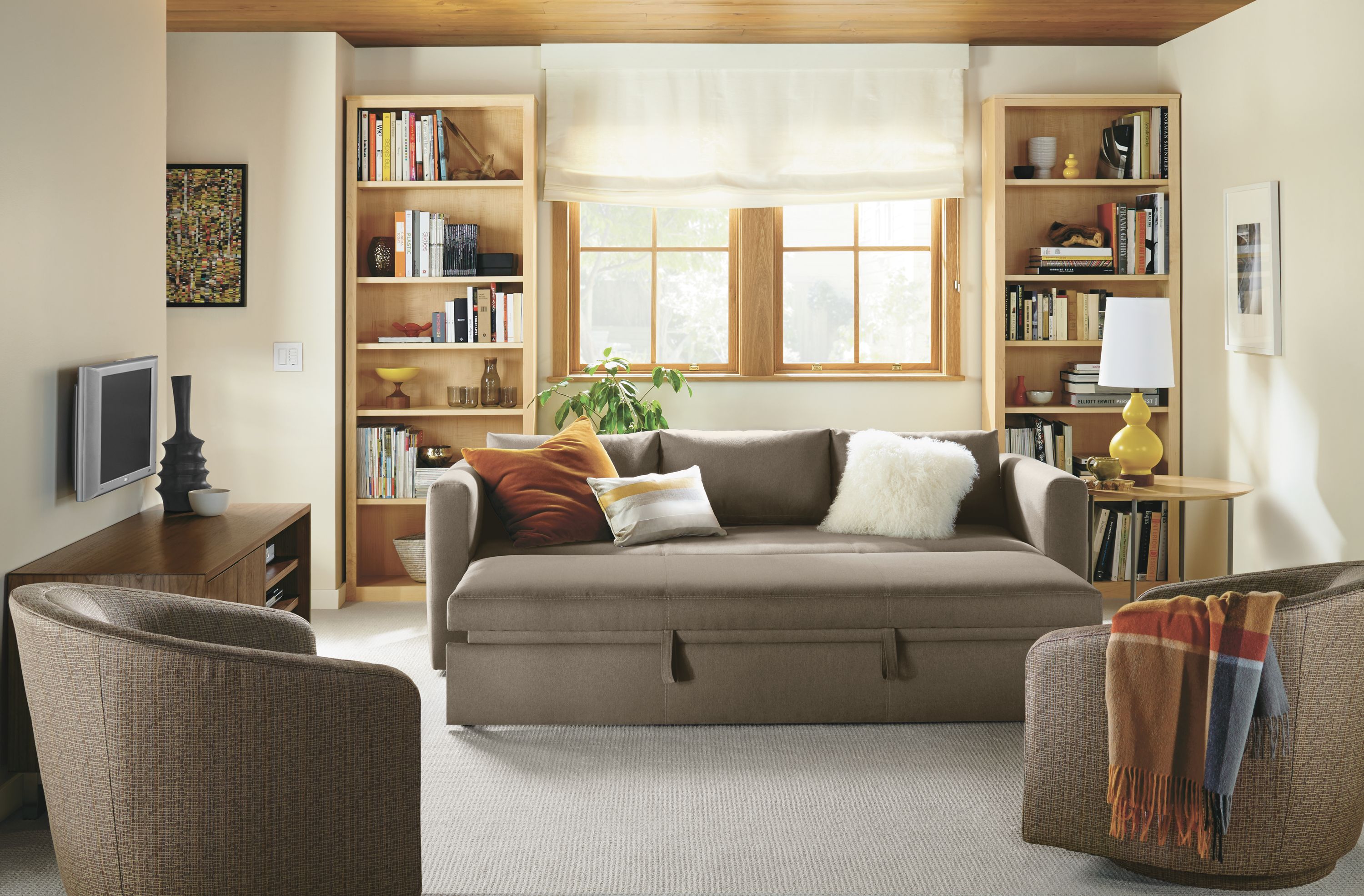 Room and board fold out couch new arrivals