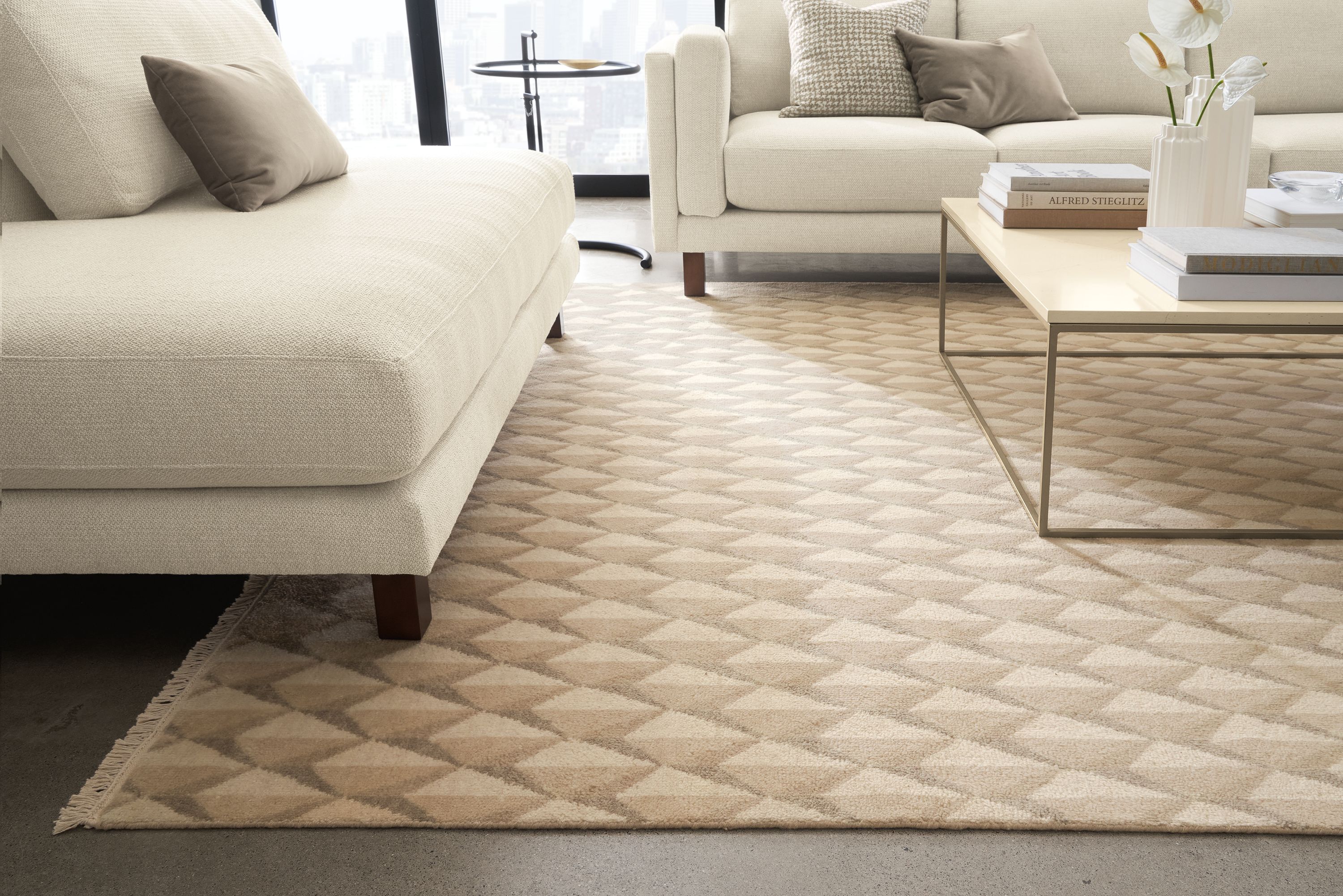 8'x10' rug in ivory/taupe