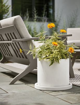 Room & Board Breeze Chair - Thumbnail 4