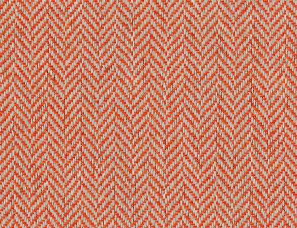 Corso coral