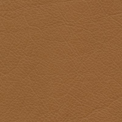 Leather Swatch