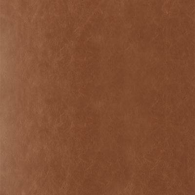 Free Leather Swatches - Room & Board