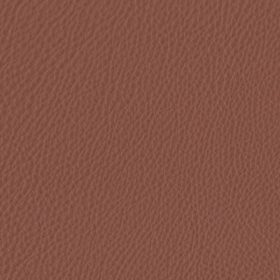 Urbino terracotta