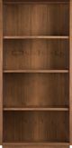 Open with Three Adjustable Shelves