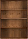 Open with Three Adjustable Shelves