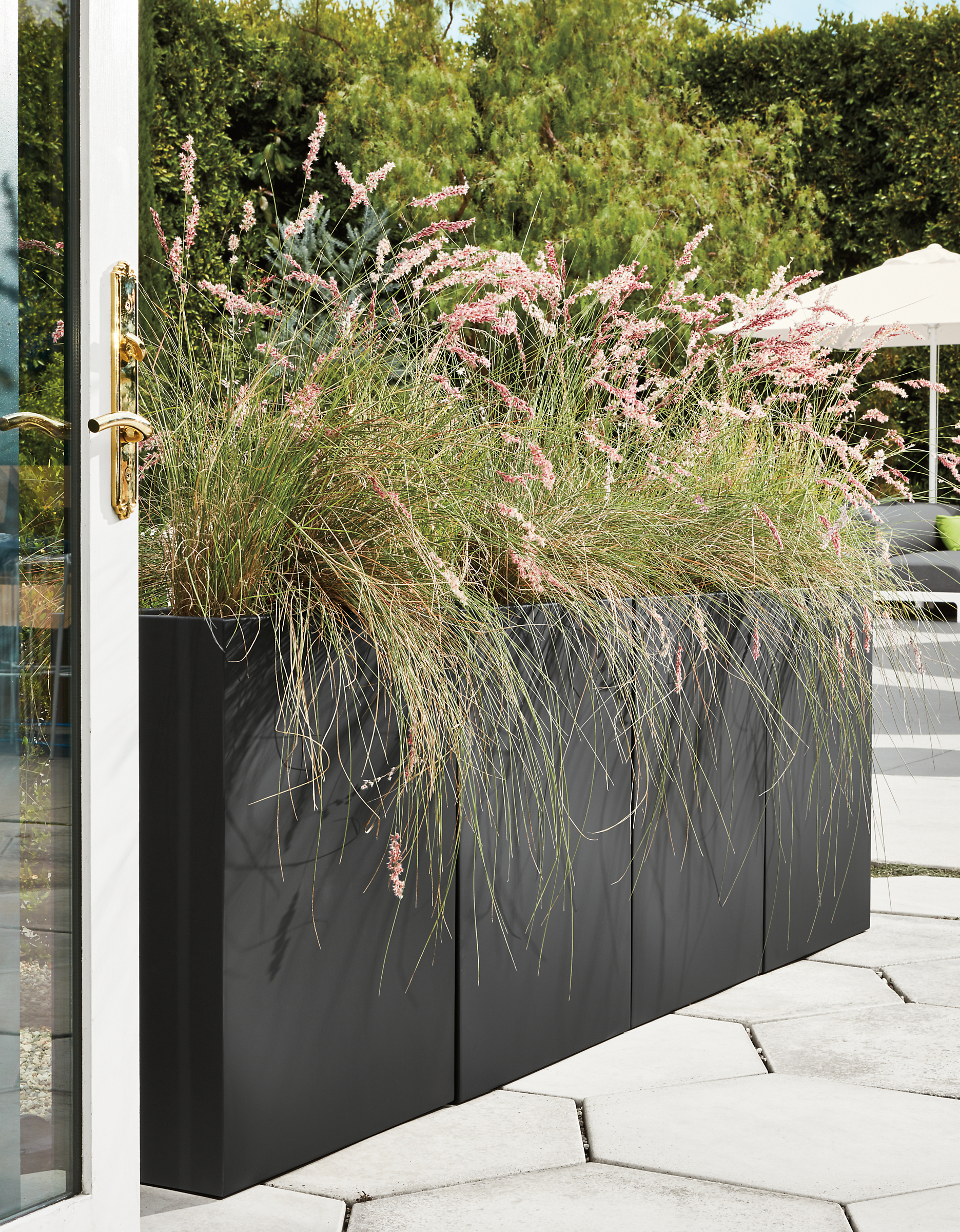 Detail of 4 Terrace rectangle planters in graphite in outdoor space.