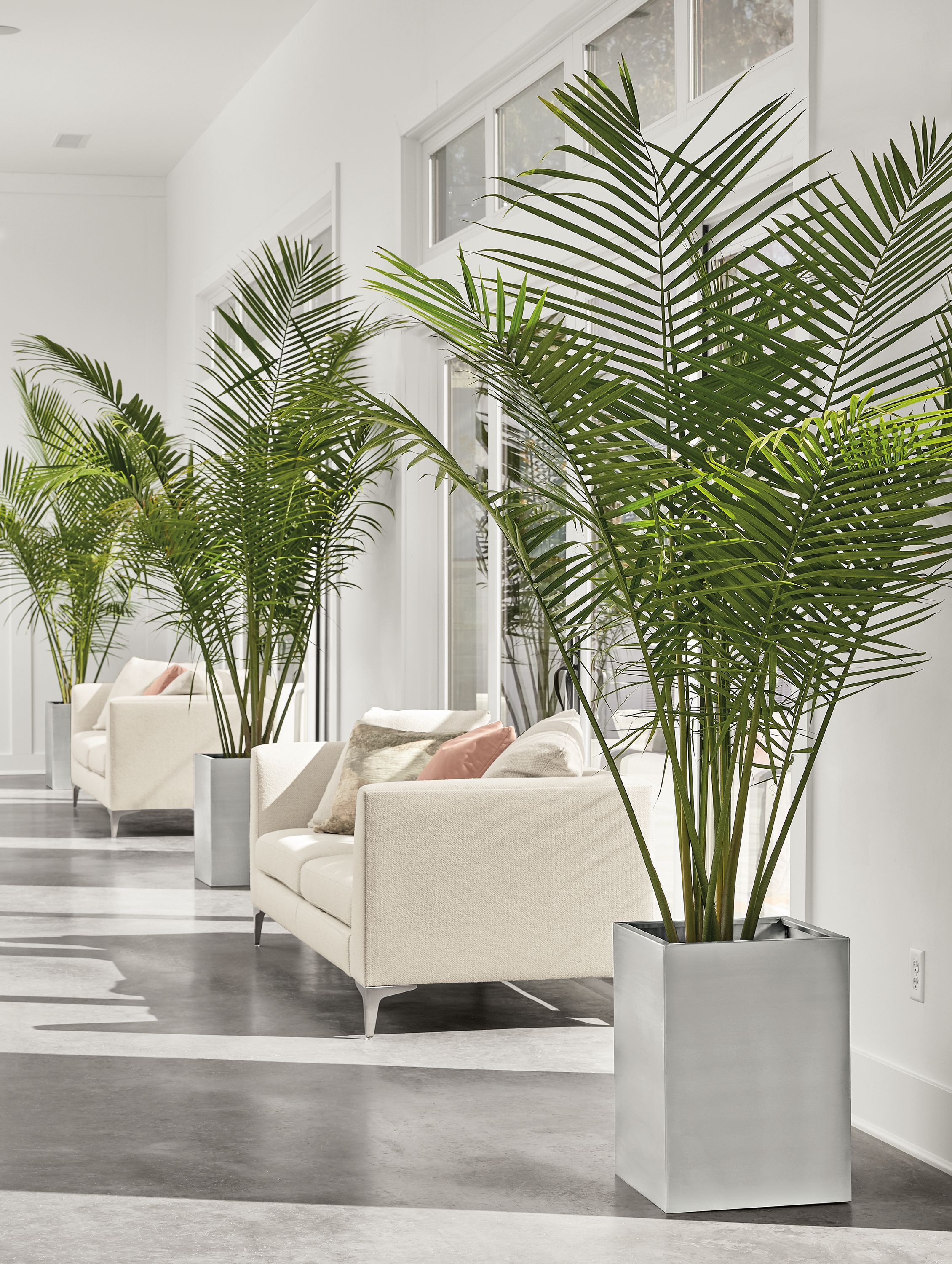 Detail of three Terrace tall square planters in stainless steel.