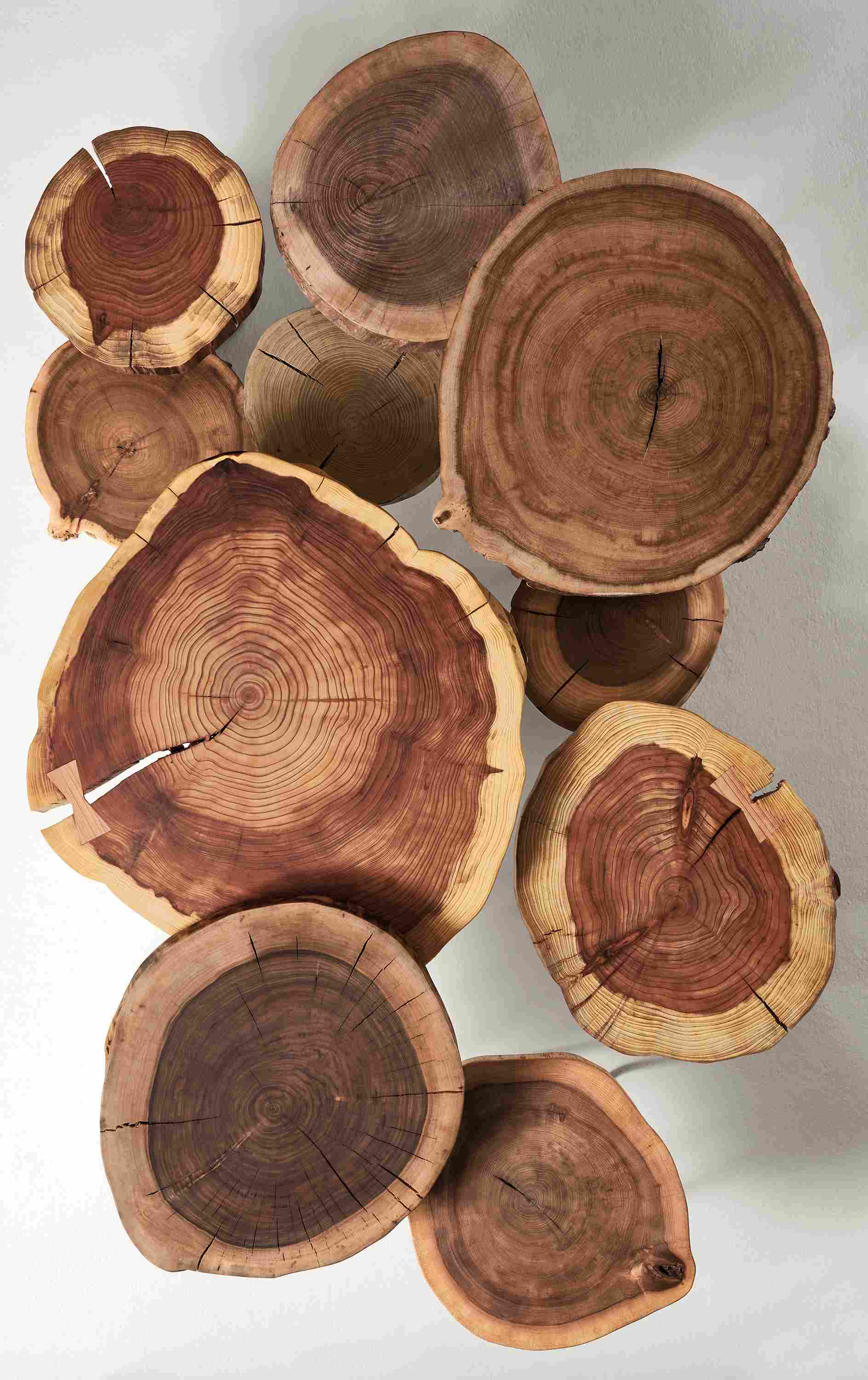 Overhead view of 10 Wellington tabletops in redwood, walnut and elm.