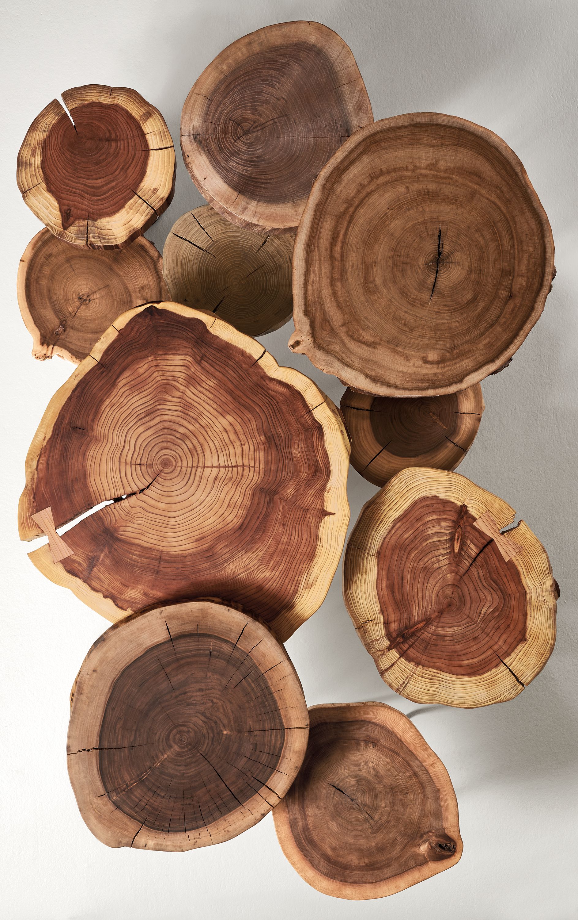 Overhead view of 10 Wellington tabletops in redwood, walnut and elm.
