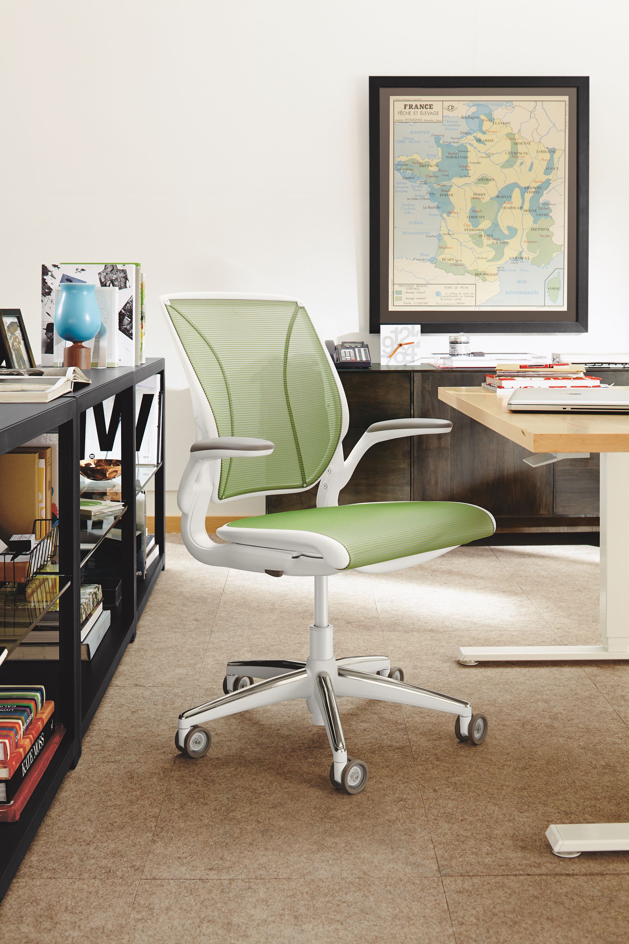 Diffrient world office online chair